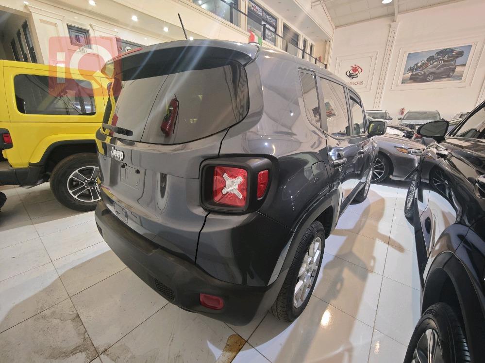 جيب رينيجيد